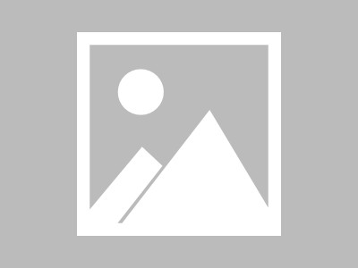 fill免费在线观看（filf免费观看）